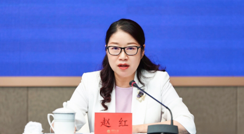 图：广东省文化和旅游厅副厅长赵红发言