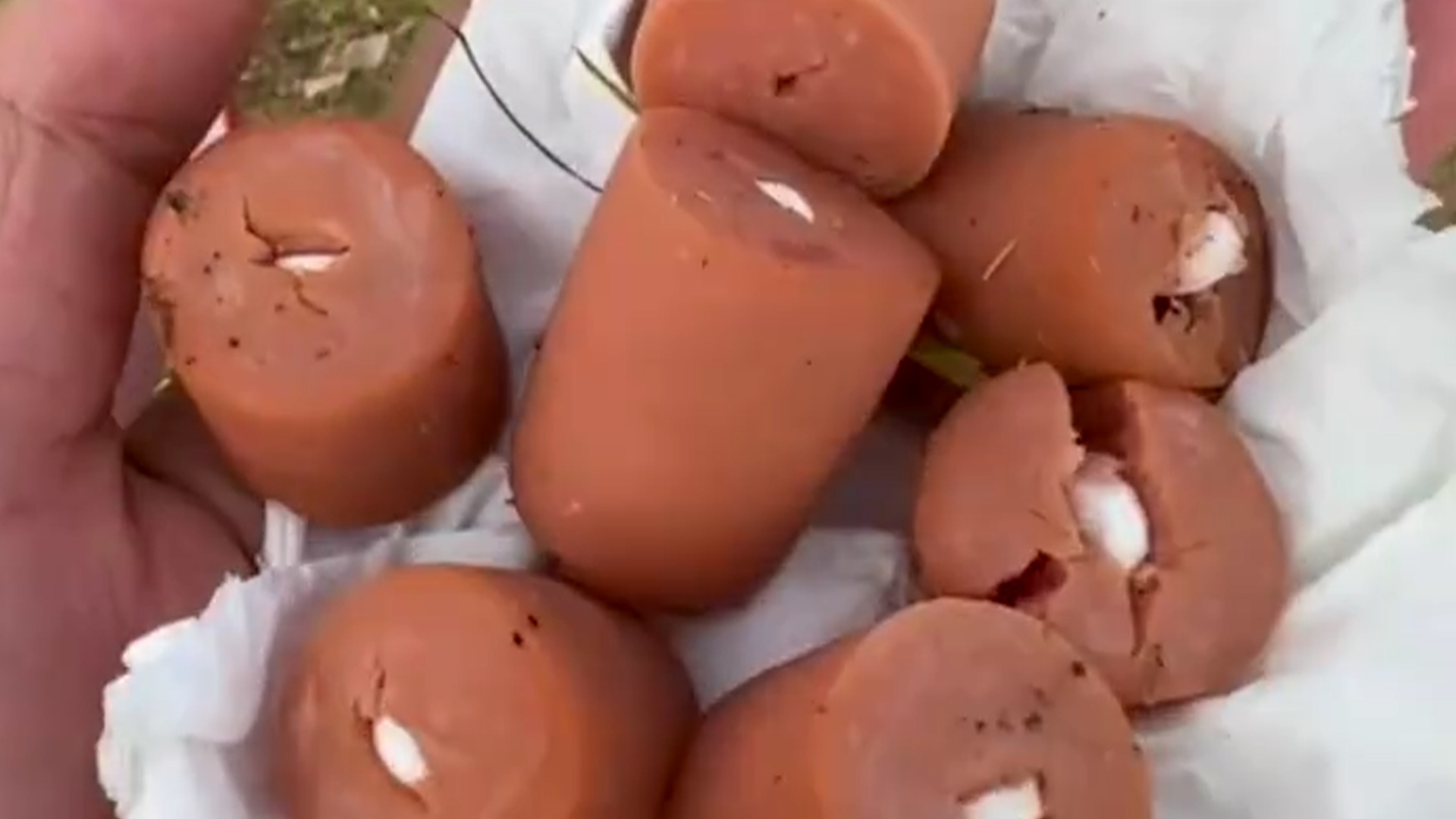 咸阳一处草坪现加药火腿肠有狗误食，警方回应：是治疗肺结核的药物