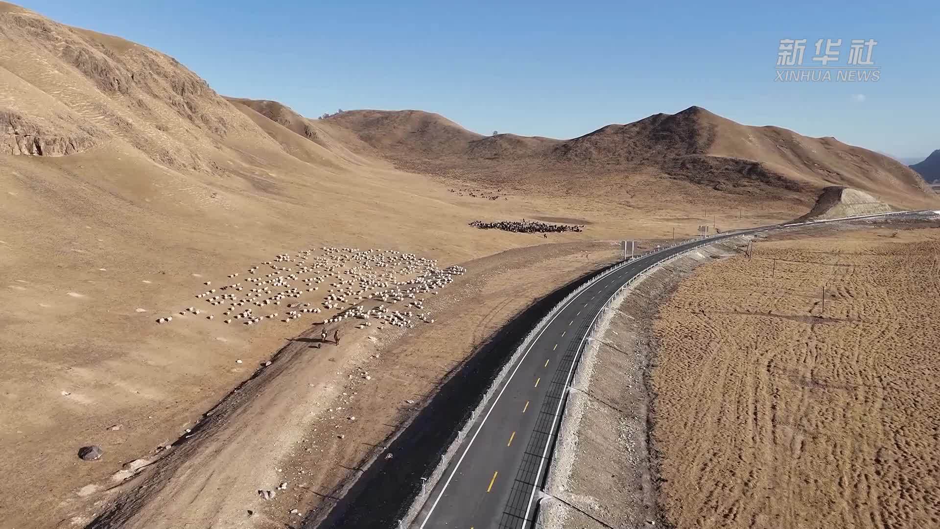 新疆巴音布鲁克草原82万头(只)牲畜迎来冬季大迁徙