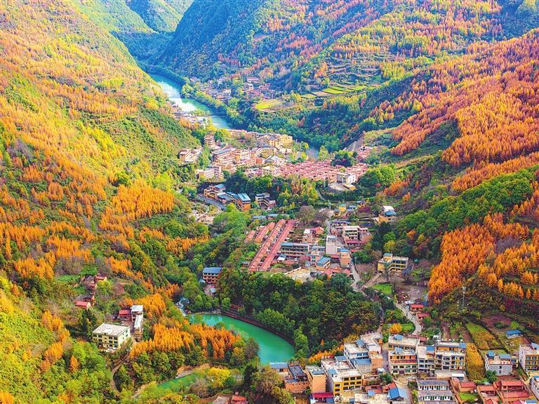 深秋时节的宕昌县官鹅沟景区层林尽染、美不胜收　新甘肃·甘肃日报通讯员　胡卫东