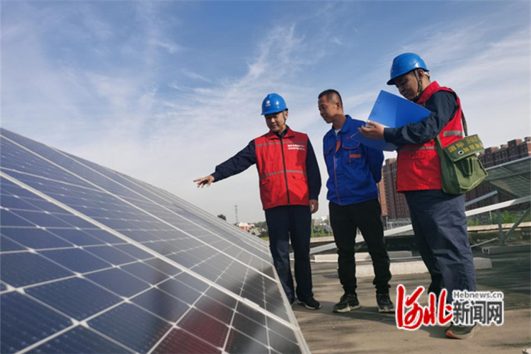 图为公司员工协助企业巡视地面分布式光伏设备。彭磊摄