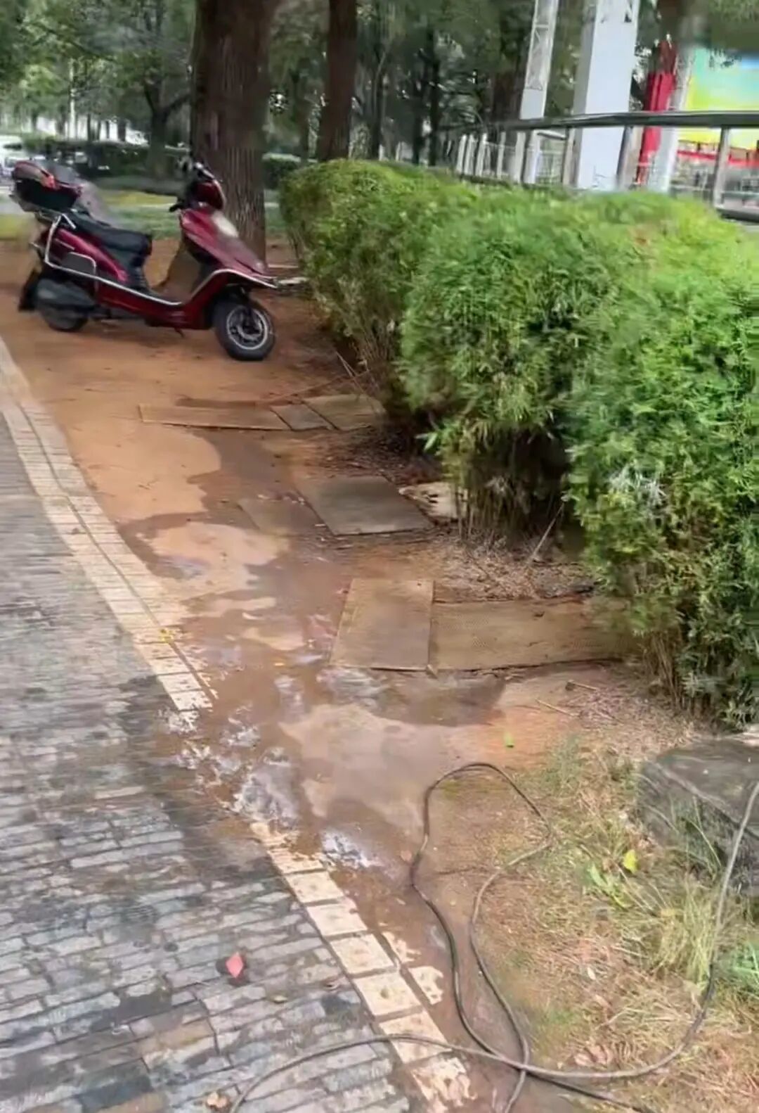 武宁一公园摆3个尿桶供人露天小便，不到百米外就有公厕？官方回应