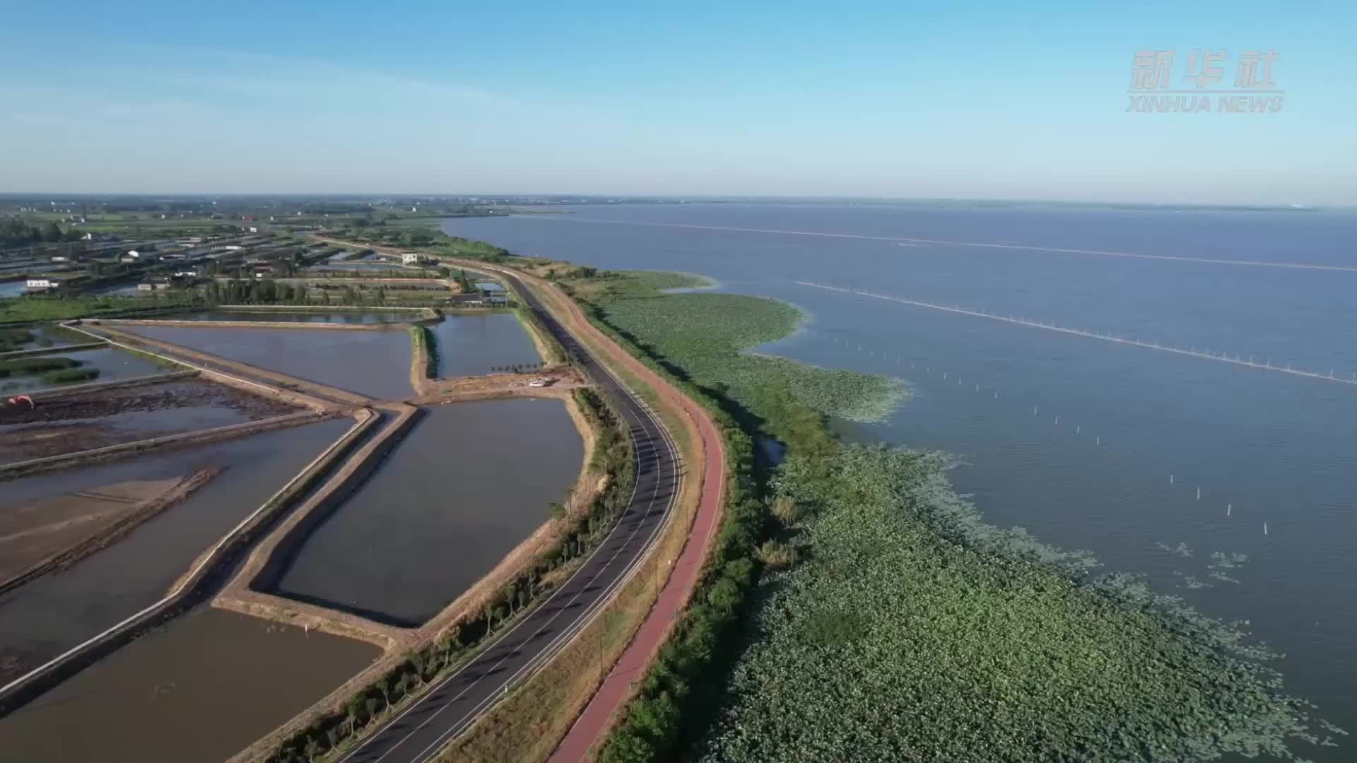四中全会精神在基层｜湖南大通湖：小水草长成生态大产业