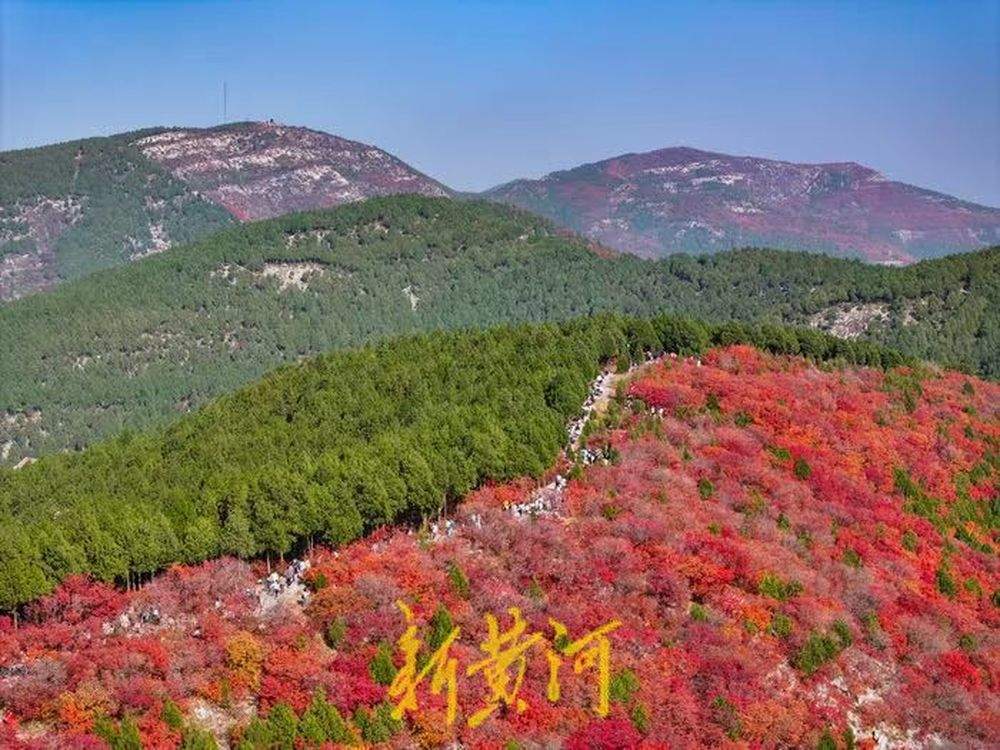 半山苍翠半山红！济南“鸳鸯火锅”惊艳上线