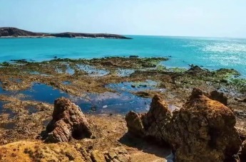 雷军发文推荐青岛即墨猪岛