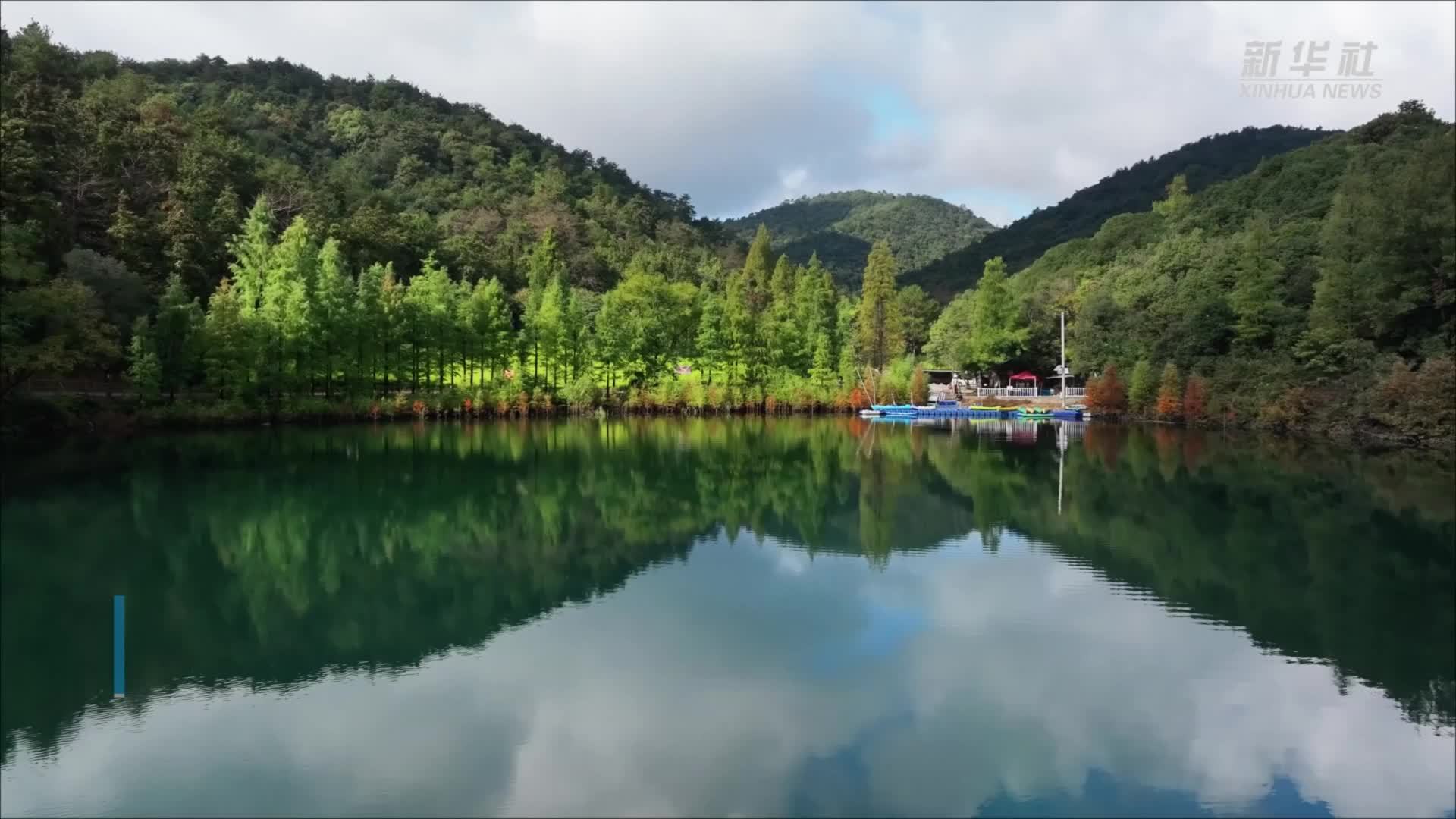 浙江长兴：秋色醉染水杉林