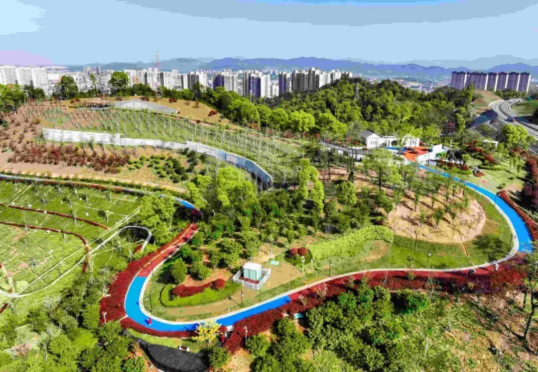 生态修复后的青山矿废弃区2022年4月3日.JPG