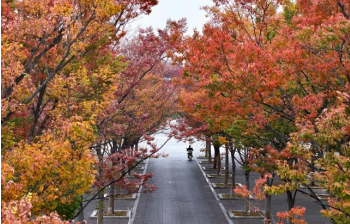 绝美秋景!南昌这6个“打卡圣地”超出片