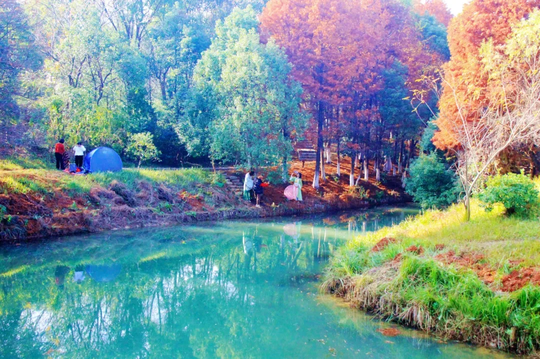 南昌：画意梅湖（图）