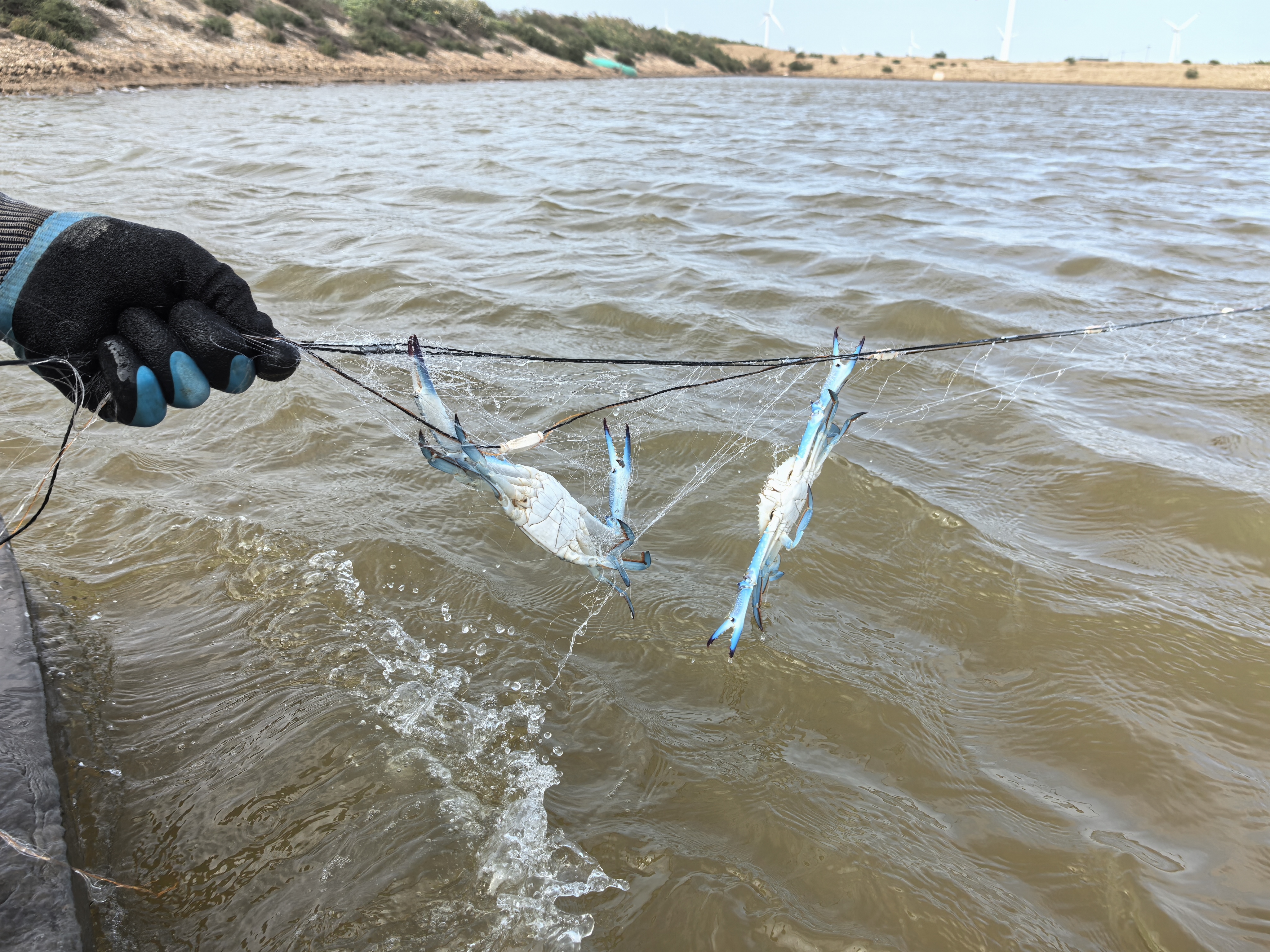 科技赋能乡村振兴显成效!万里学院“蓝色粮仓”案例入选省级典型