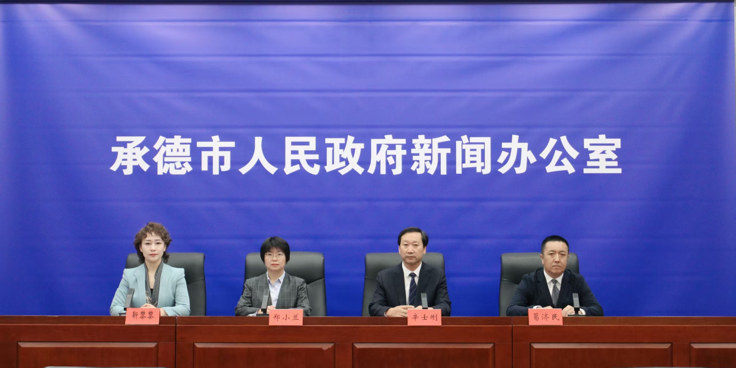 发布会 王占平摄