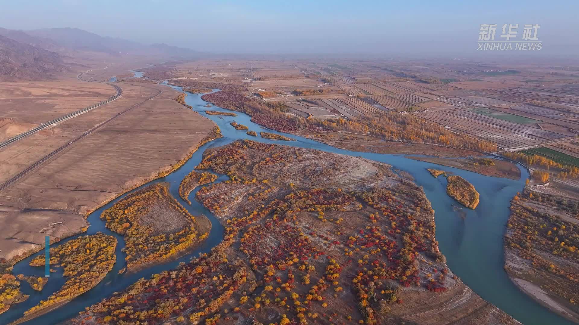 新疆伊犁河：百万亩次生林层林尽染