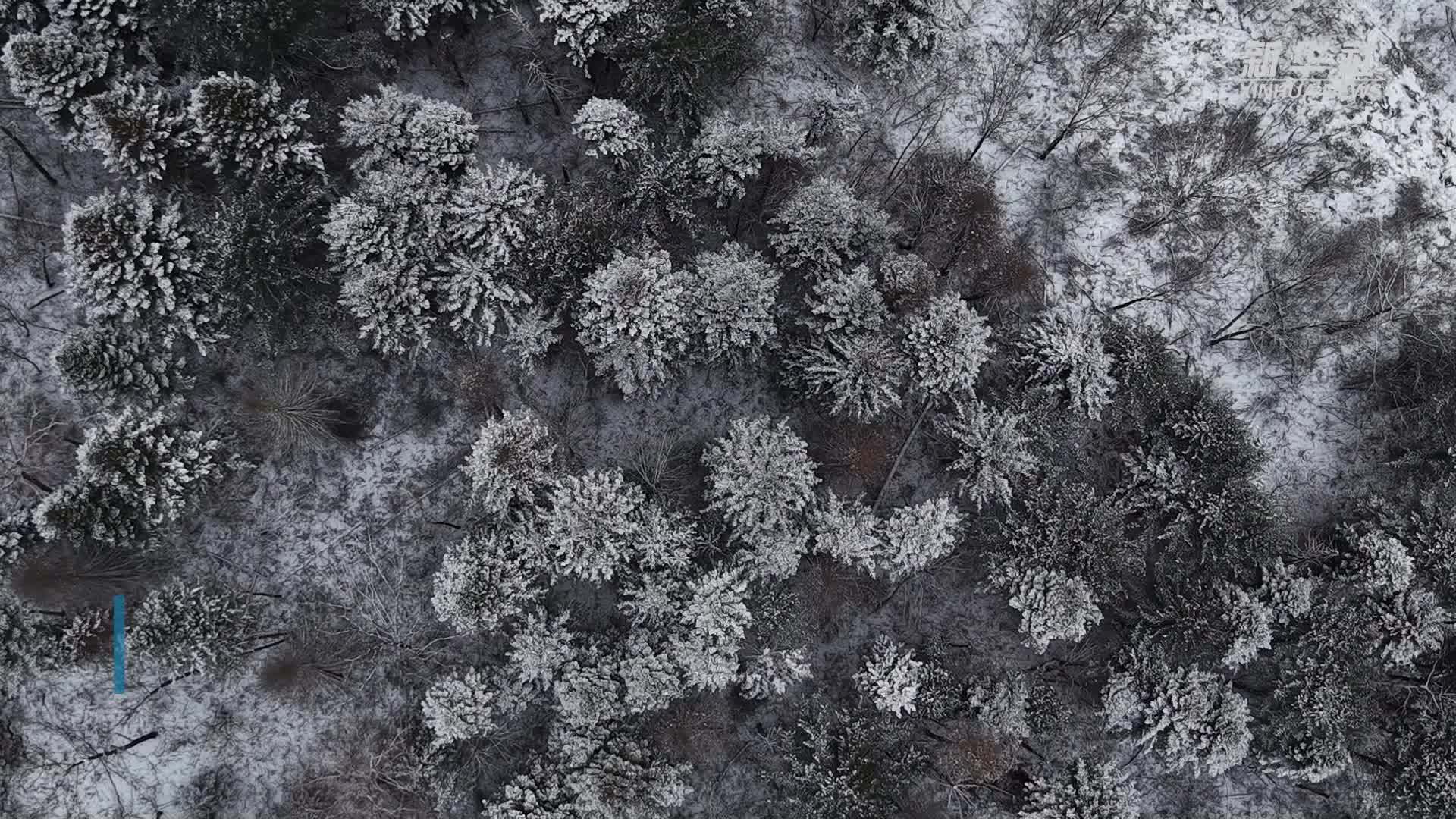美丽中国 | 自驾“醉美G331” 行进北疆冰雪秘境