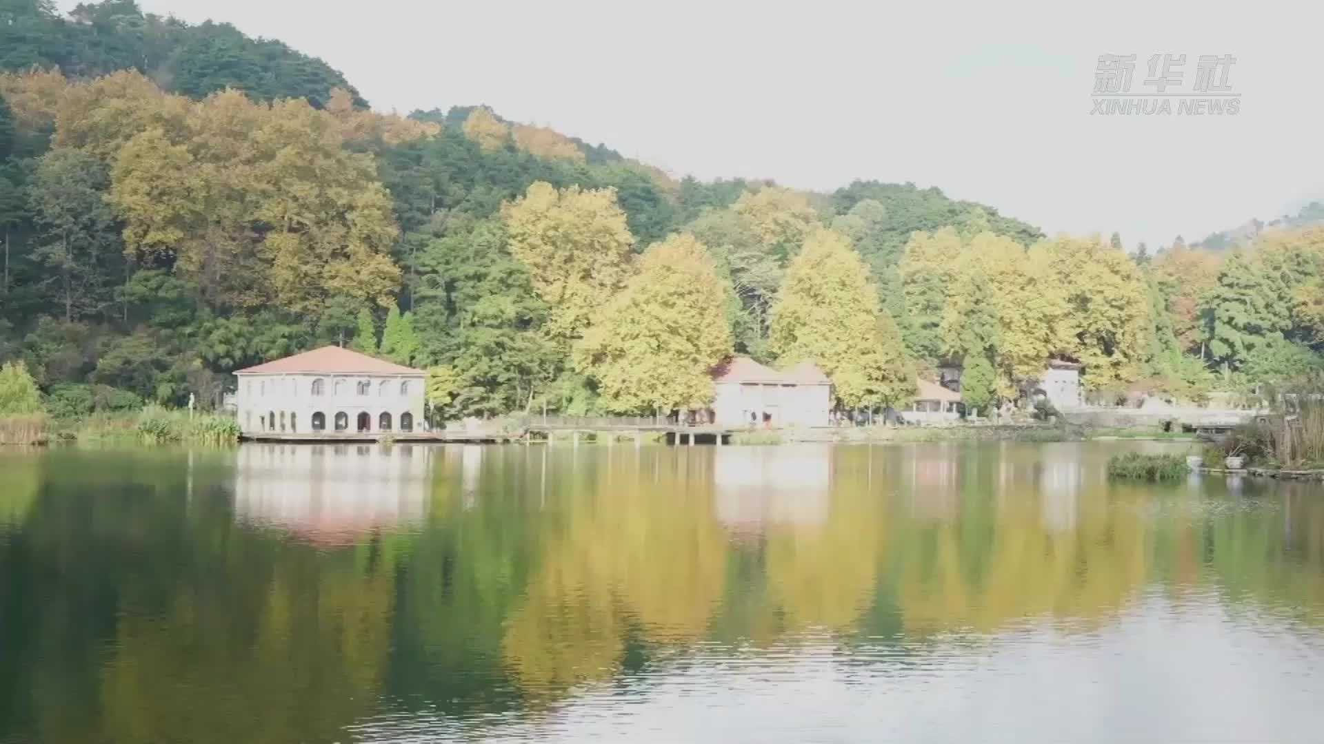 江西庐山开启金秋赏枫季