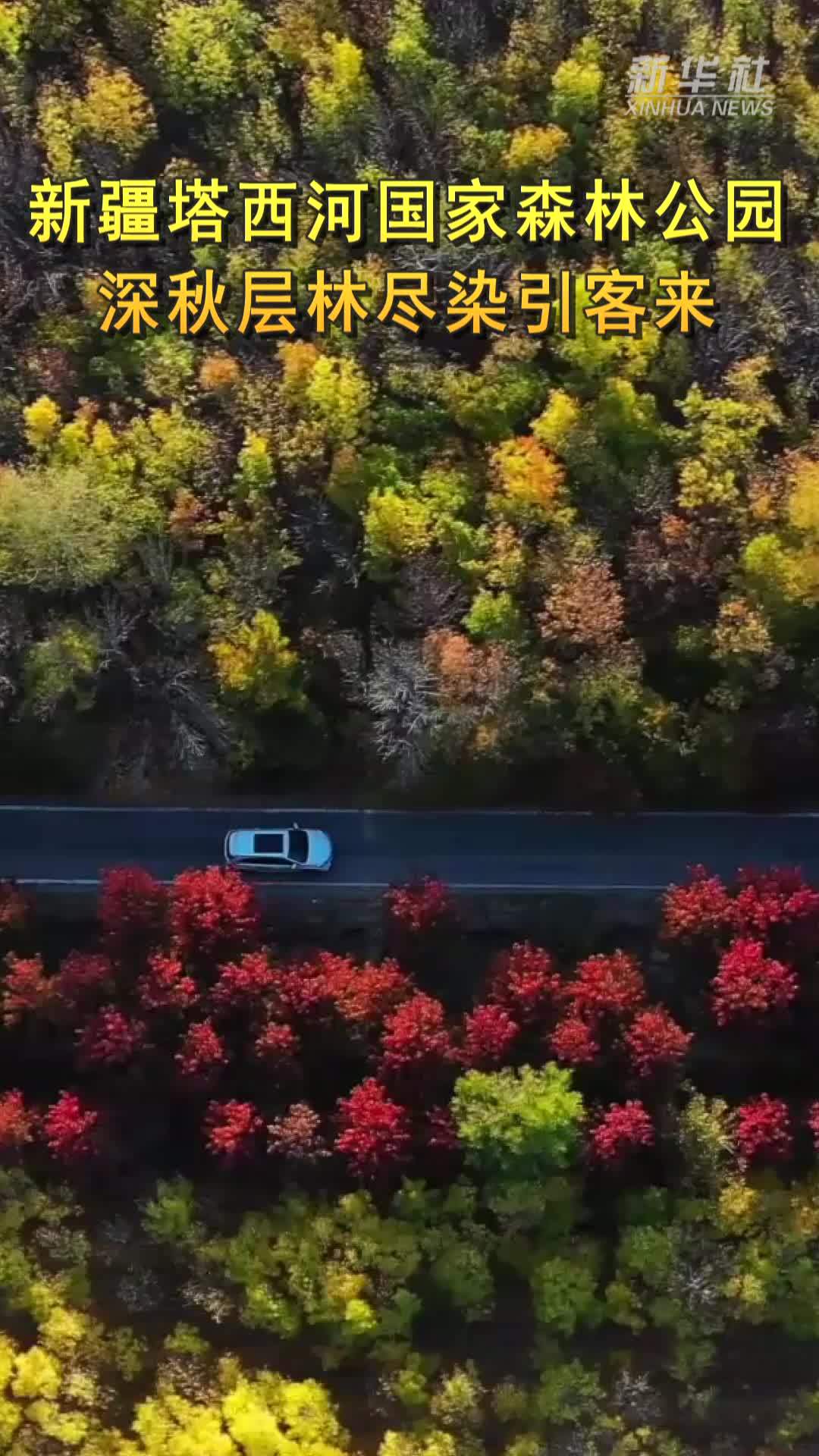 新疆塔西河国家森林公园：深秋层林尽染引客来