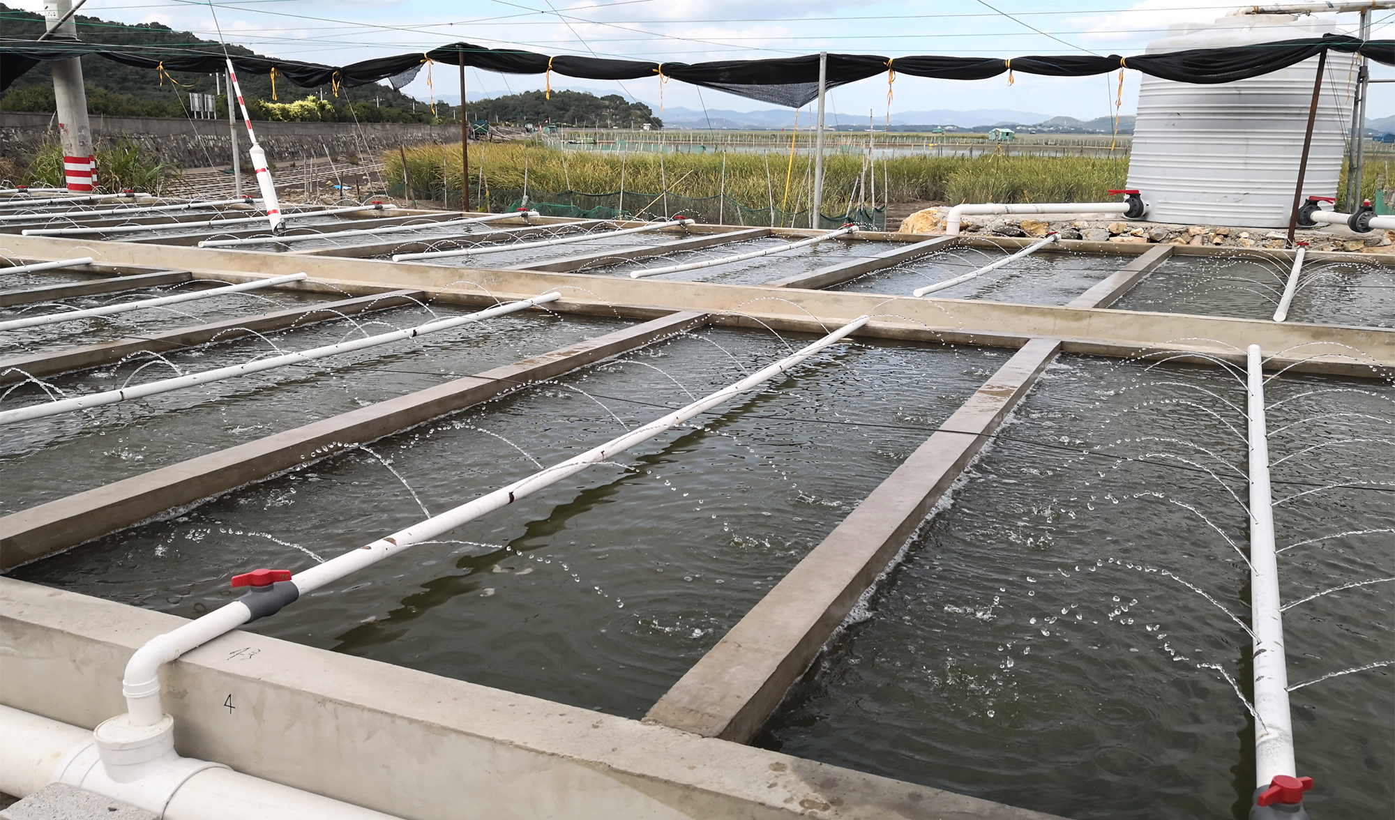 科技赋能乡村振兴显成效!万里学院“蓝色粮仓”案例入选省级典型