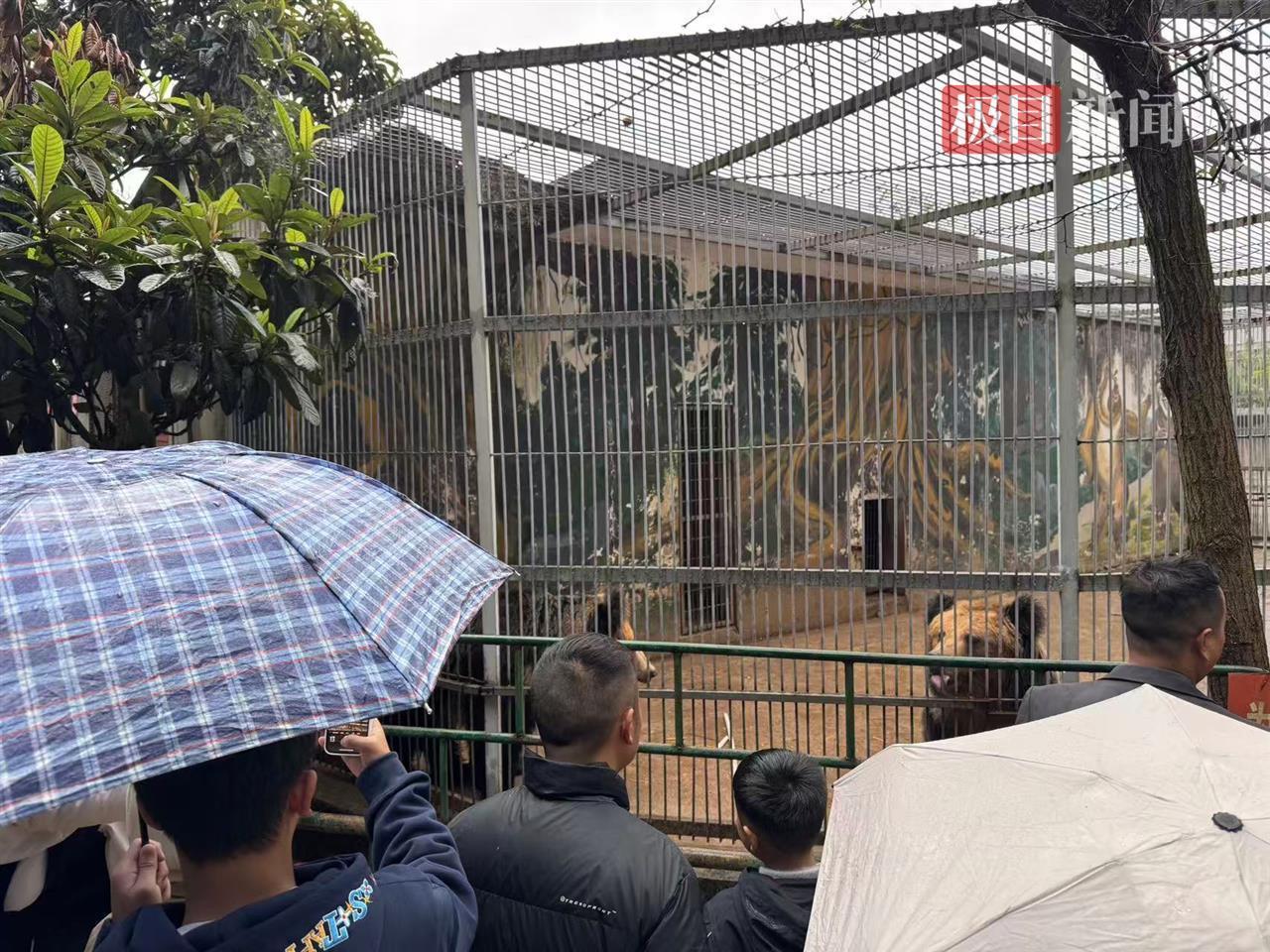 游客冒雨游览动物园