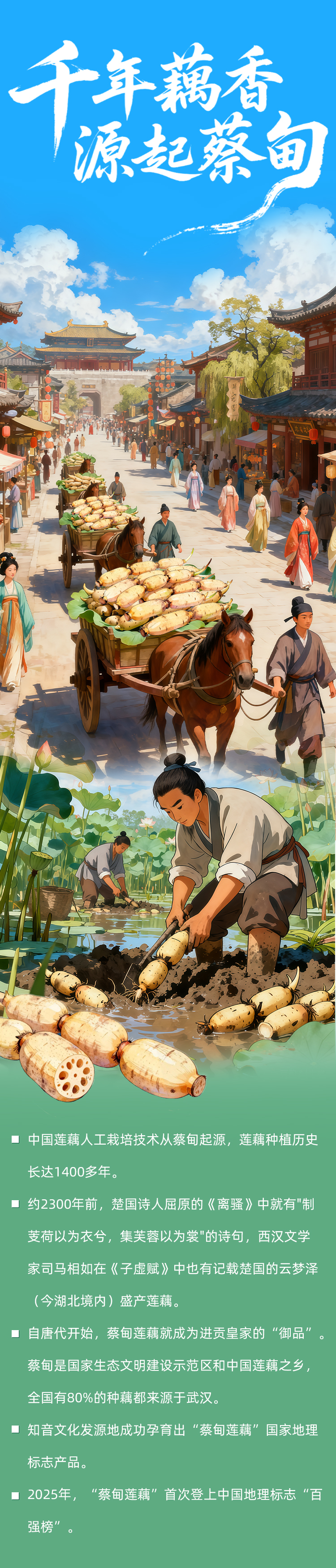 藕香传千年 产业链百亿——蔡甸莲藕的时代答卷