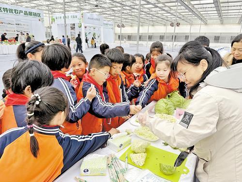 10月28日,在邢台市任泽区河北捷如美农业展示示范园区蔬菜新品试吃区,任泽区大屯中心小学三年级学生争相品尝生菜甘蓝和水果苤蓝。本报记者 王永晨摄