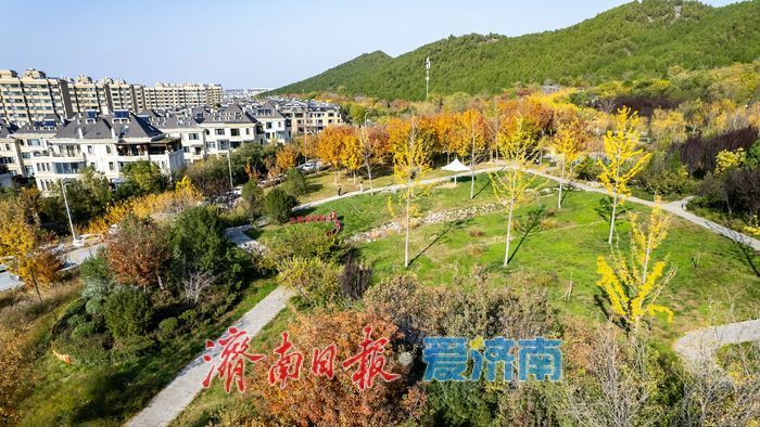 登高赏秋正当时!围子山郊野公园“绚烂”出圈,转身直达“枫”景线