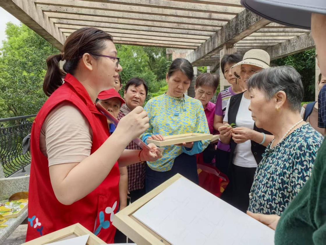 （讲解如何制作树叶相框）