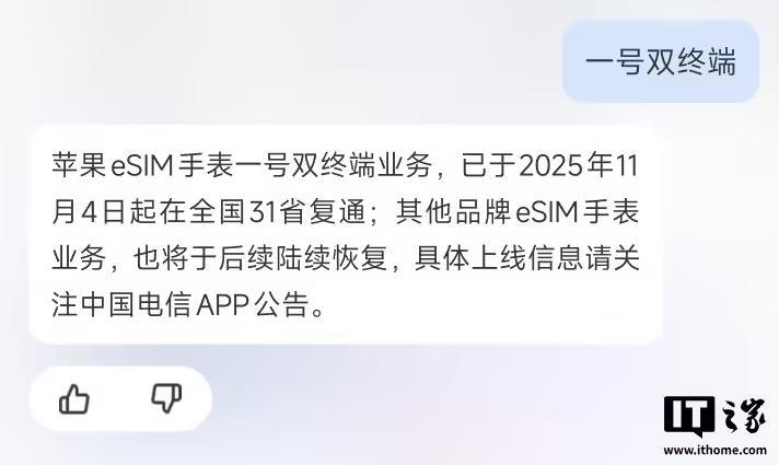中国电信Apple Watch一号双终端eSIM业务复通