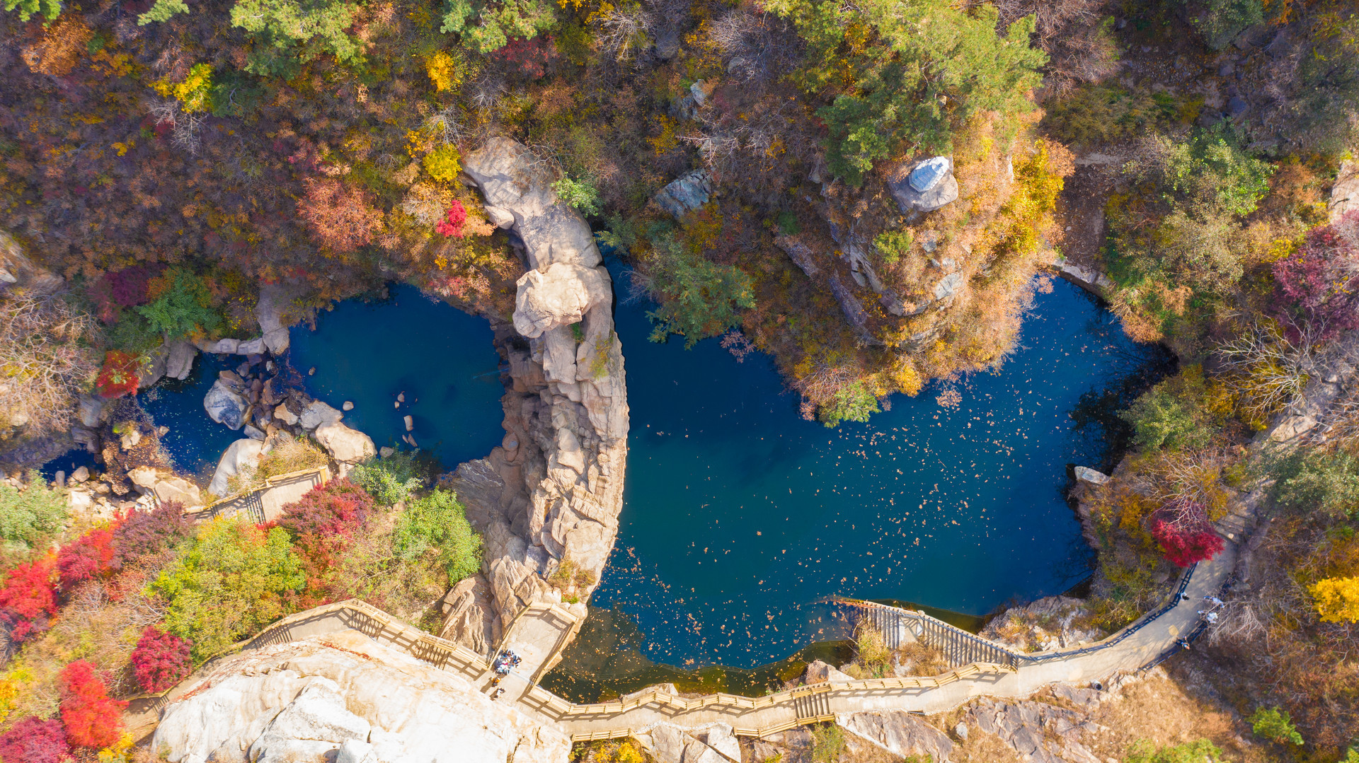 大自然的调色盘已准备就绪 去邂逅青岛的秋天