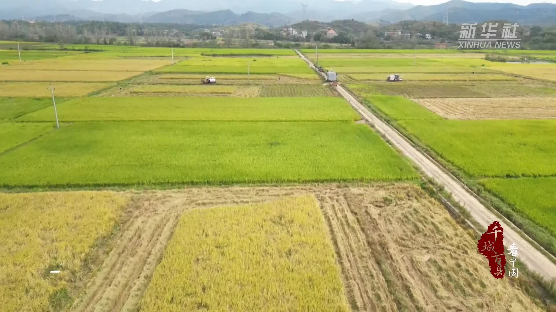 千城百县看中国｜湖南祁阳：“生态循环”激活乡村振兴“双赢路”