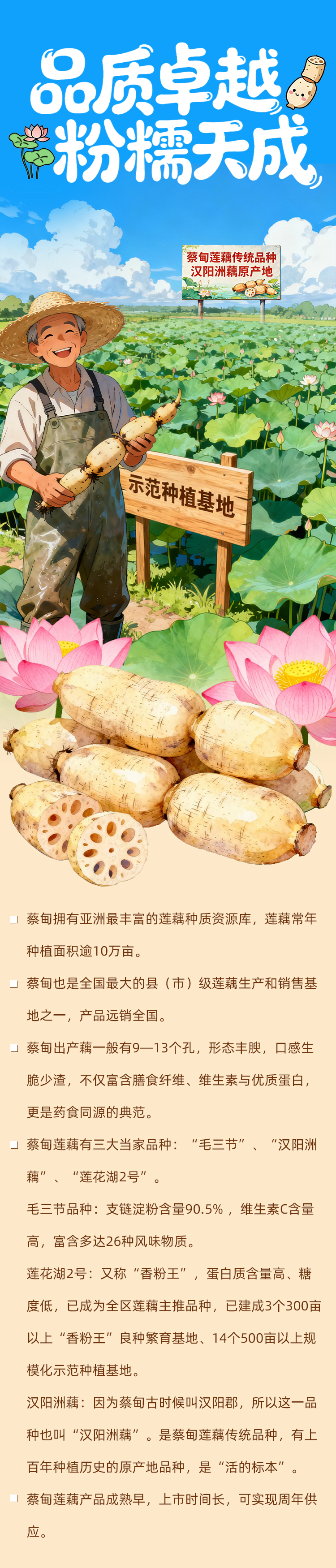 藕香传千年 产业链百亿——蔡甸莲藕的时代答卷