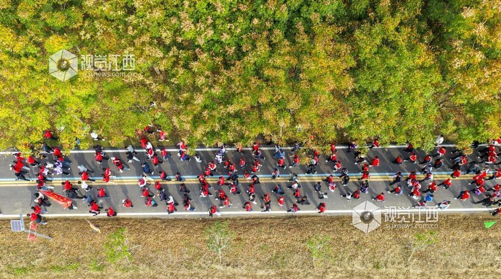 走路时膝盖突然“软”一下，不是累了，或许是这些疾病信号