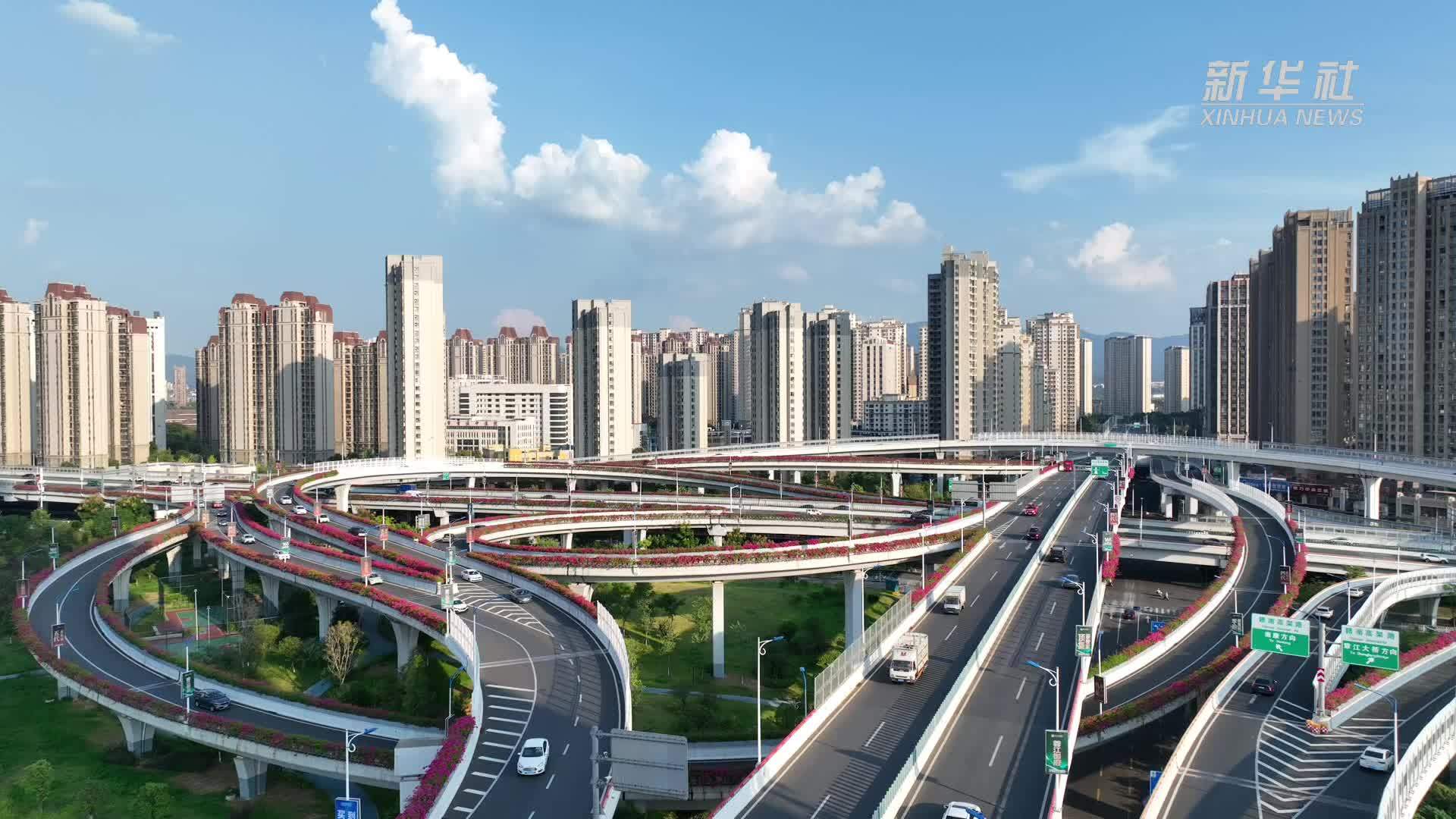 江西赣州：“空中花廊”上线！高架三角梅美出圈