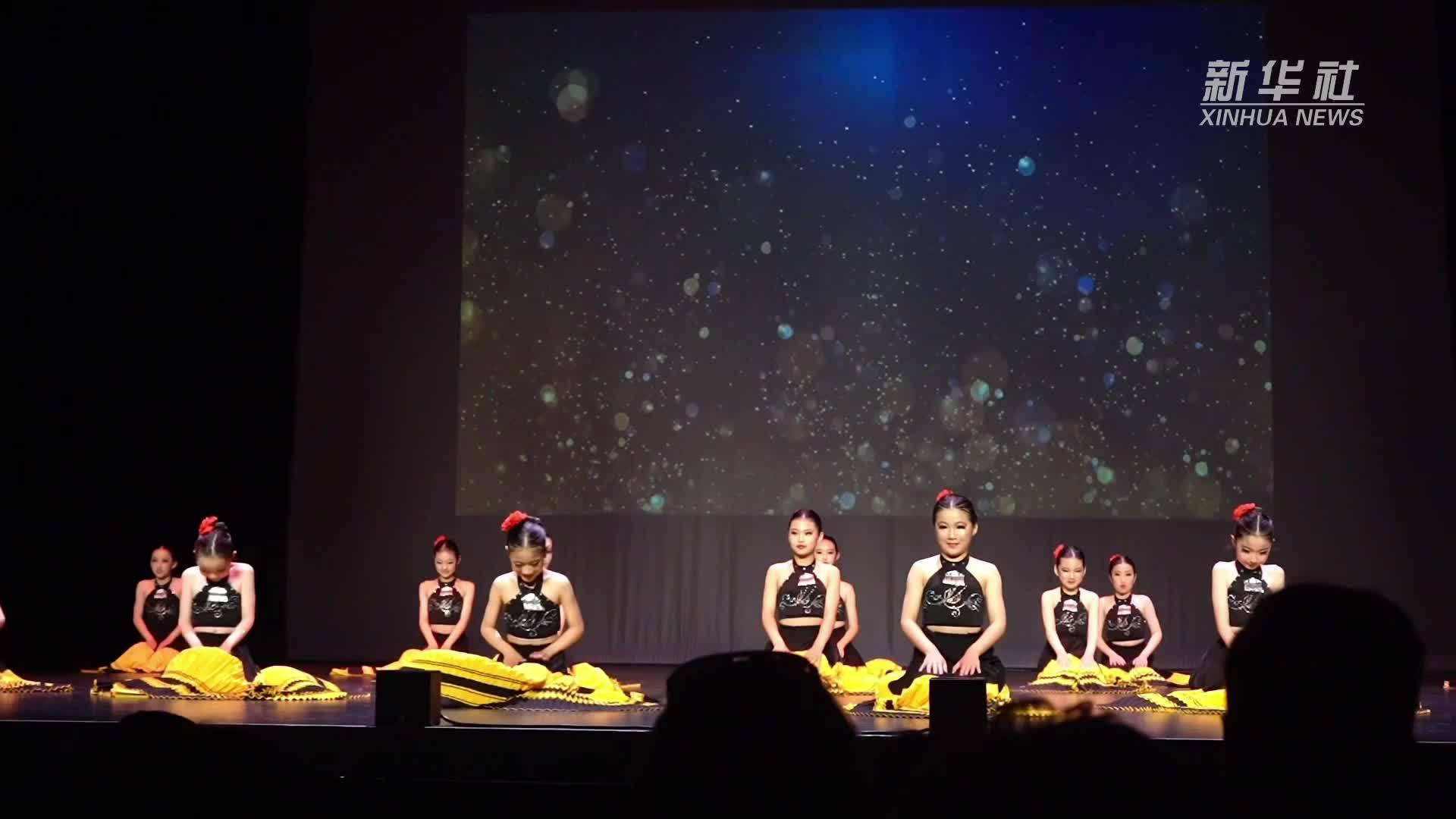 “亲情中华·豫侨同缘”专场演出在新西兰南岛举行