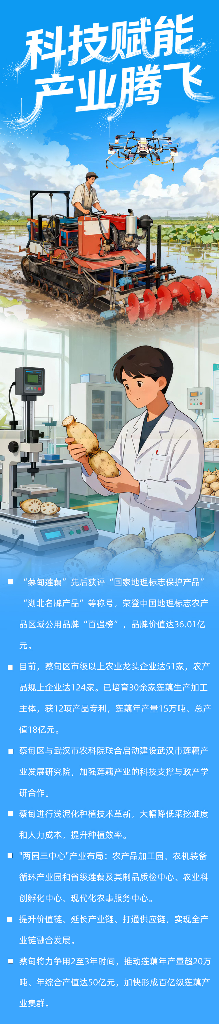 藕香传千年 产业链百亿——蔡甸莲藕的时代答卷