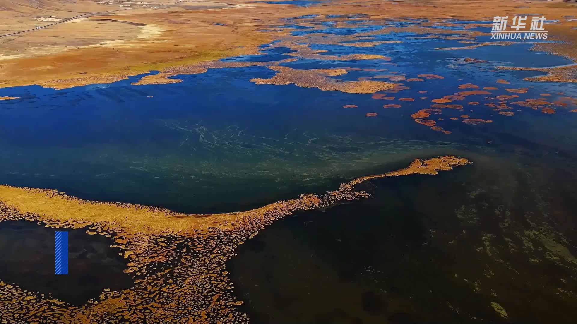 青海玉树：高原湿地铺展美丽画卷