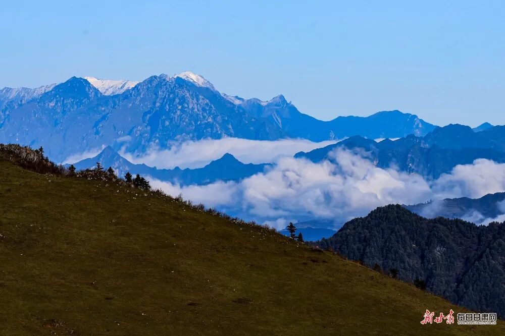 秋季到甘肃看“海” 畅游云端当自在小神仙
