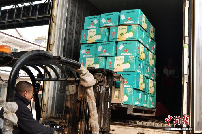 11月6日,中国雪花梨之乡——河北赵县,一家梨果销售企业的工作人员正将发往泰国的梨果装车。中新社记者 翟羽佳 摄
