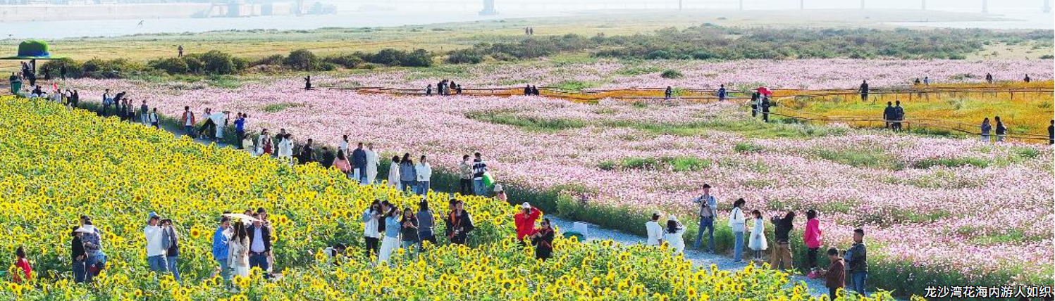 绝美秋景!南昌这6个“打卡圣地”超出片