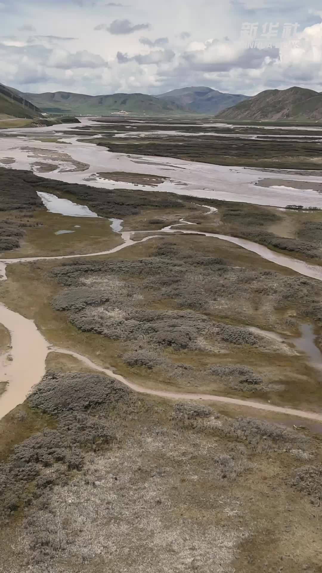 湿地秋语｜黄河上游的秋日画卷：达日河辫状水系