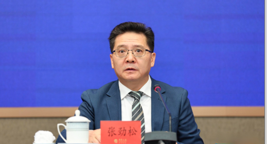 图：广东省商务厅厅长张劲松发言