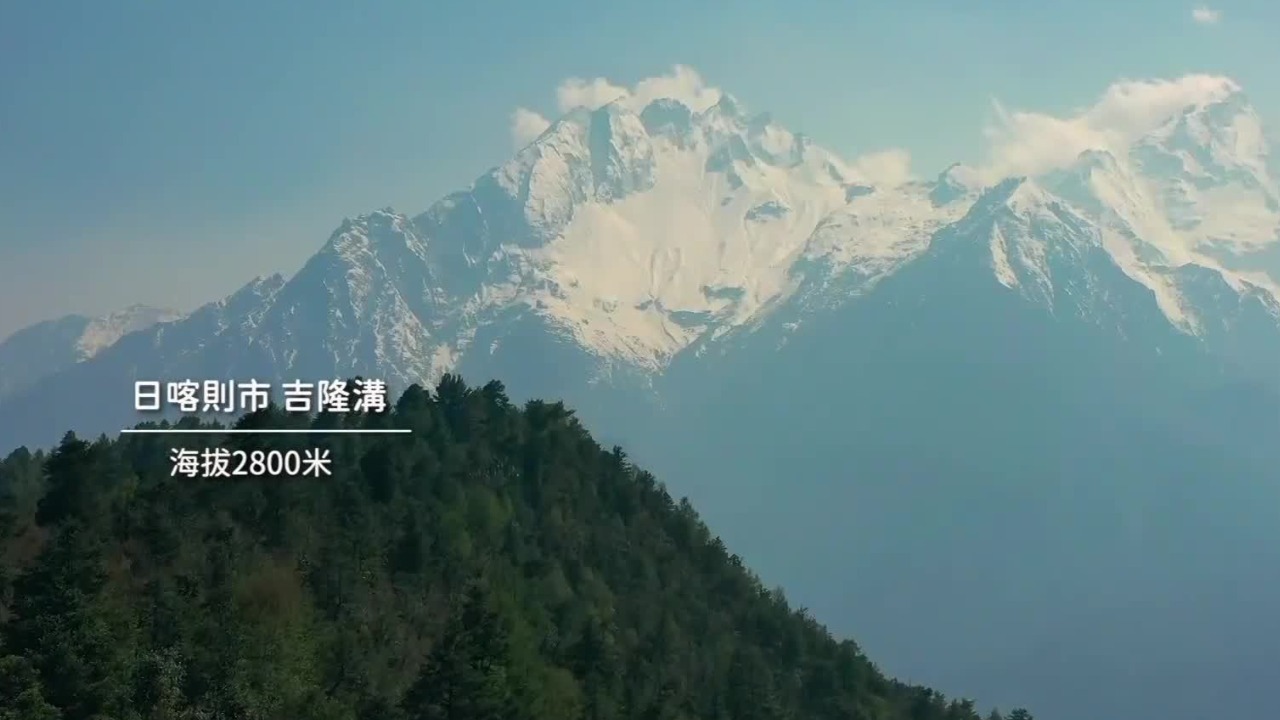 一只蝴蝶的密码：高原不是生命的荒漠，而是藏着无数翅膀扇动的奇迹