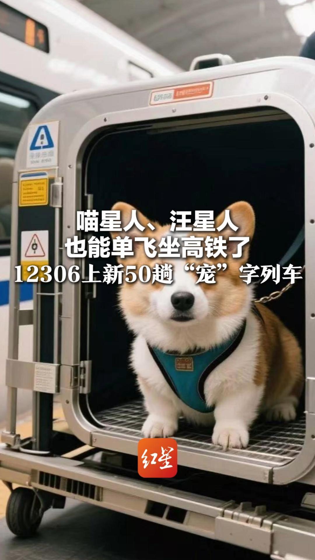 喵星人、汪星人也能单飞坐高铁了 12306上新50趟“宠”字列车 至少提前两天预约 1000公里以内558元_凤凰网视频_凤凰网