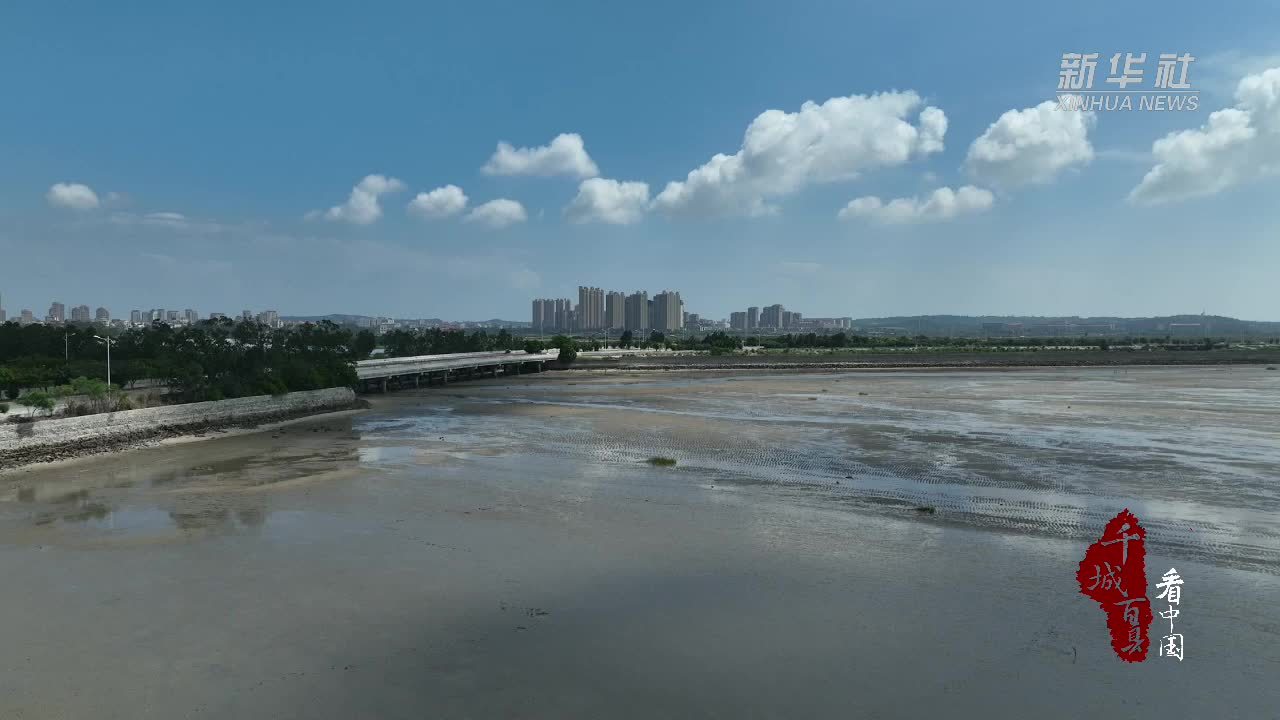 千城百县看中国｜福建晋江：围头湾再迎“鸟中大熊猫”勺嘴鹬