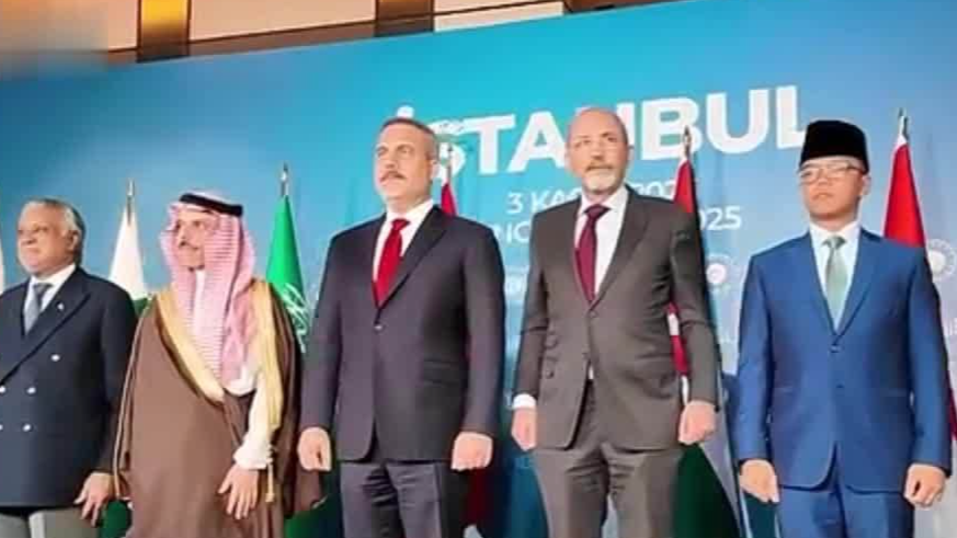 土耳其外长：是否参与加沙维和取决于任务内容