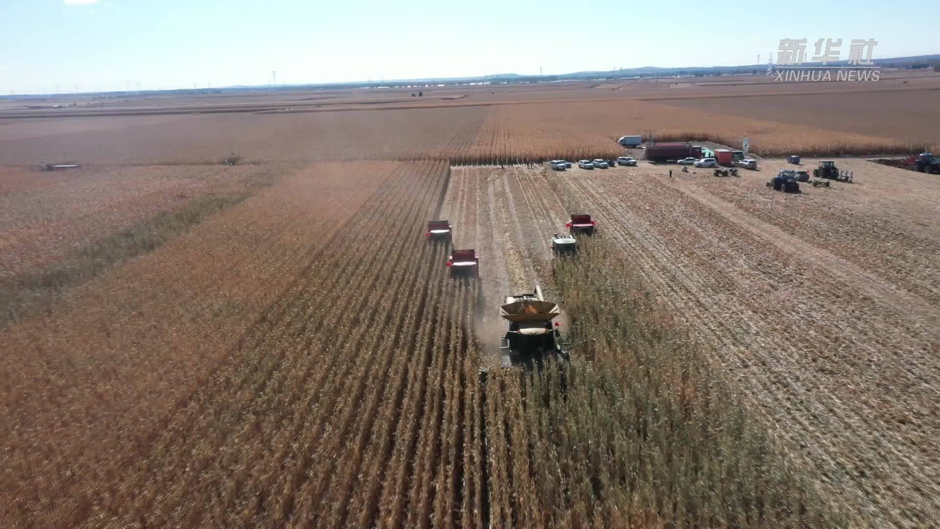 内蒙古突泉县：科技储粮助农增收