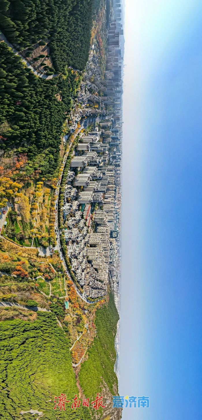 登高赏秋正当时!围子山郊野公园“绚烂”出圈,转身直达“枫”景线