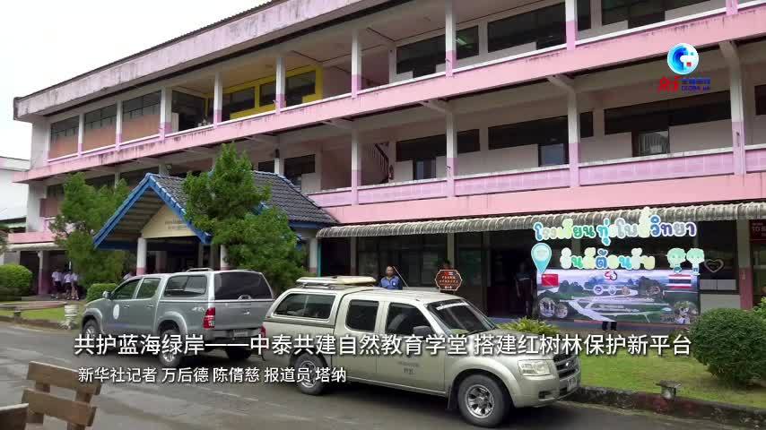 全球连线｜共护蓝海绿岸——中泰共建自然教育学堂 搭建红树林保护新平台