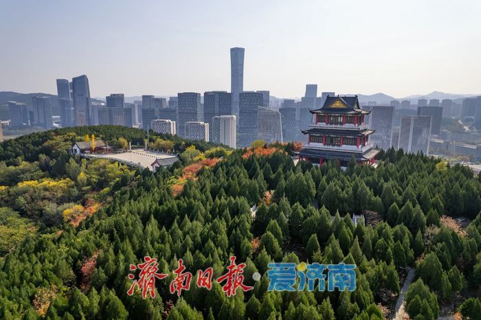 秋色正浓，济南大山坡公园变身“城市调色盘”