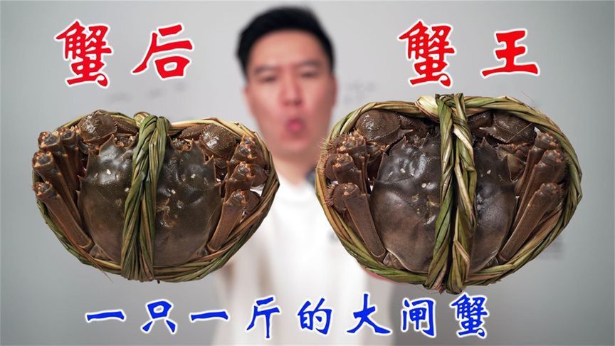 可遇不可求的蟹王与蟹后，一只一斤，肥的流油