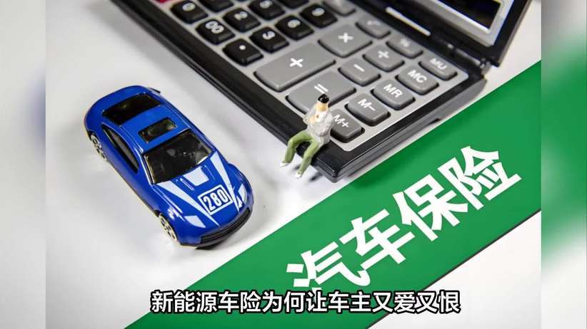 新能源车险的冰与火之歌
