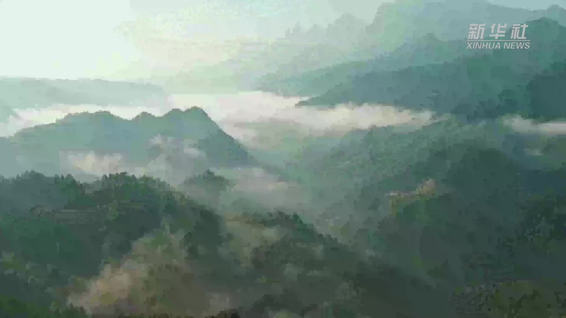 新时代中国调研行之文化中华｜瑶医文化：走出深山守护健康